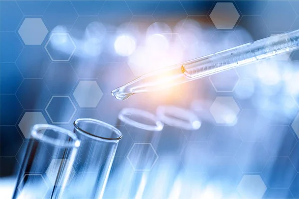 image 2025 11 13 032255673